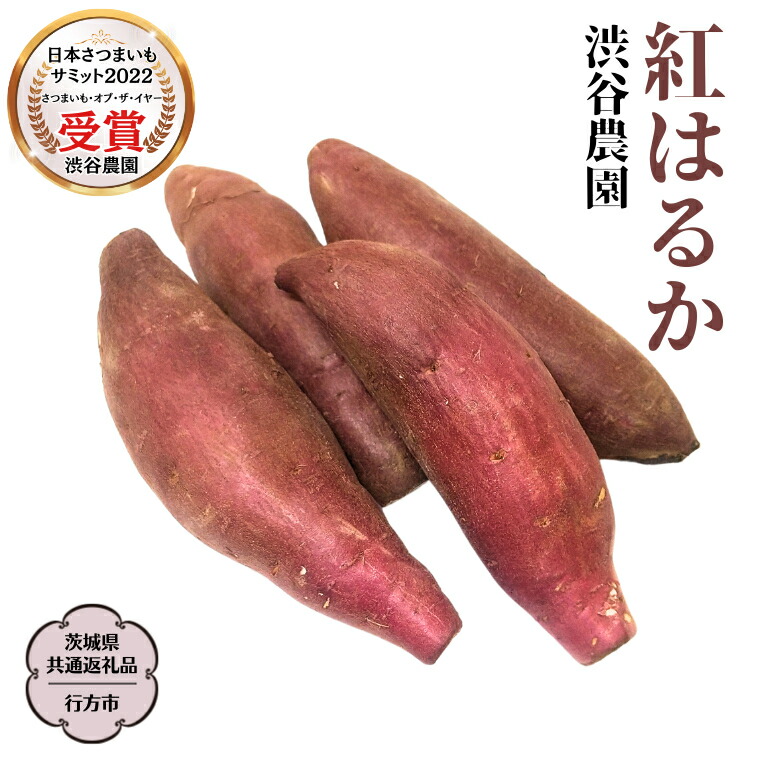 【ふるさと納税】 紅はるか 約5kg 約10kg【茨城県共通返礼品／行方市】 ＼選べる内容量／ 2024年11月から発送開始 渋谷農園 さつまいも いも 芋 焼芋