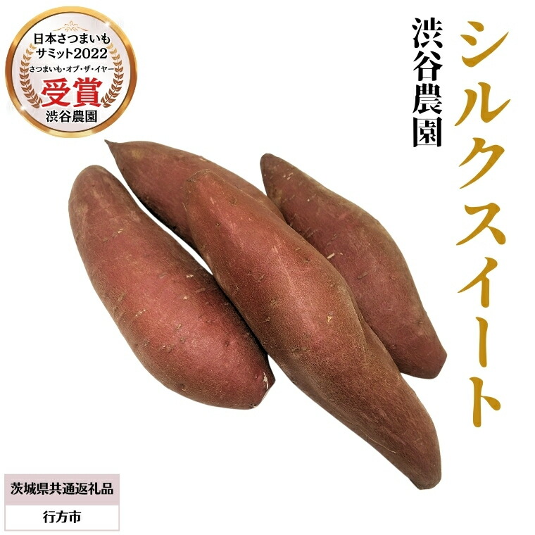 【ふるさと納税】シルクスイート 〈 選べる内容量 〉 【茨城県共通返礼品／行方市】 2024年11月から発送開始 渋谷農園 さつまいも  いも 芋 焼芋