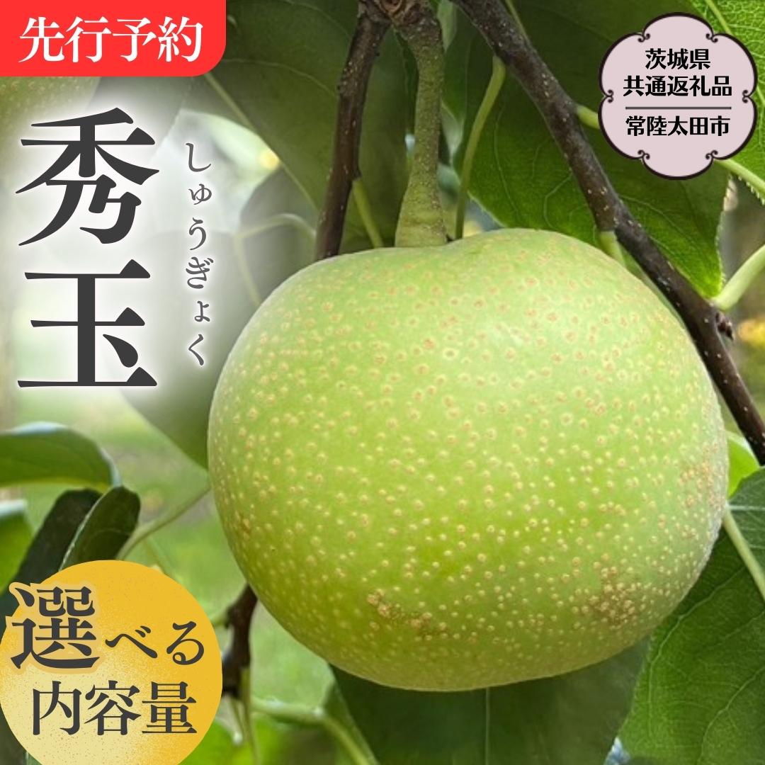 【ふるさと納税】《2025年9月上旬発送開始》茨城県産 『幻の 梨 』 秀玉【茨城県共通返礼品／常陸太田市】 約3kg 約5kg 桧山果樹園 農家直送 桧山果樹園 農家直送 フルーツ  甘い 直送 茨城 限定 ギフト 梨 しゅうぎょく 果物