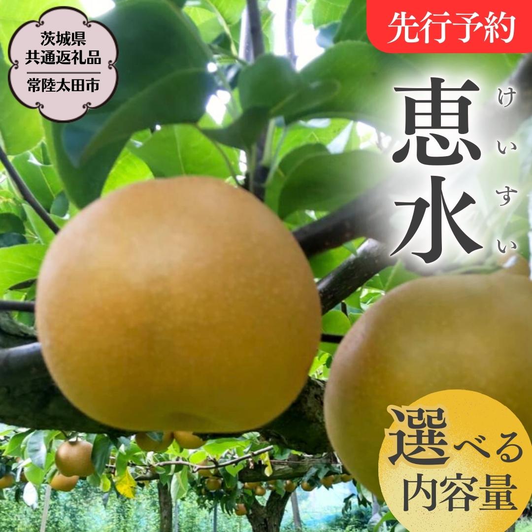 【ふるさと納税】《2025年9月上旬発送開始》 茨城県産 梨 「 恵水 」【茨城県共通返礼品／常陸太田市】 約3kg 約5kg 桧山果樹園 農家直送 桧山果樹園 農家直送 フルーツ  甘い 直送 茨城 限定 ギフト 梨 恵水 けいすい 果物