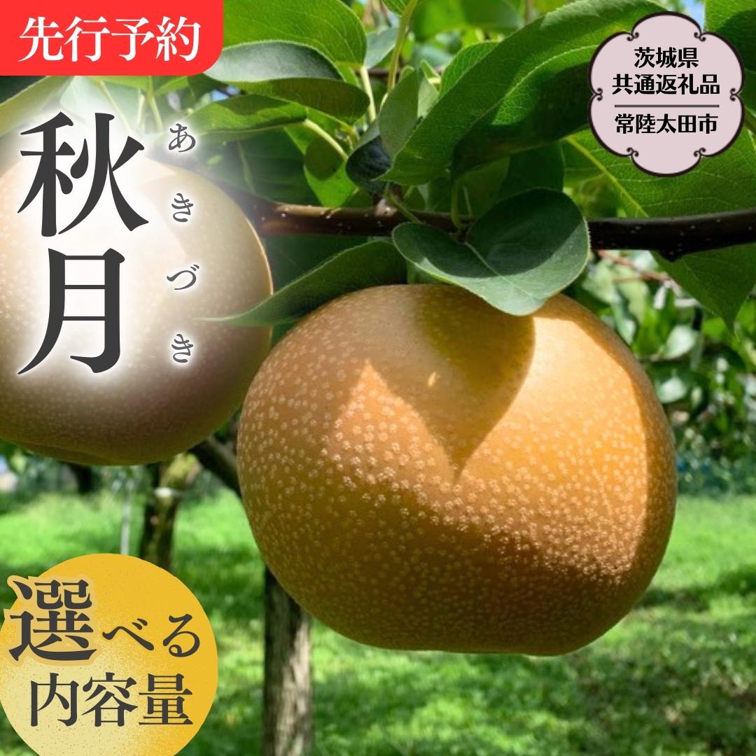 【ふるさと納税】《2025年9月中旬発送開始》 茨城県産 梨 「 秋月 」【茨城県共通返礼品／常陸太田市】 約3kg 約5kg 桧山果樹園 農家直送 桧山果樹園 農家直送 フルーツ  甘い 直送 茨城 限定 ギフト 梨 秋月 あきづき 果物