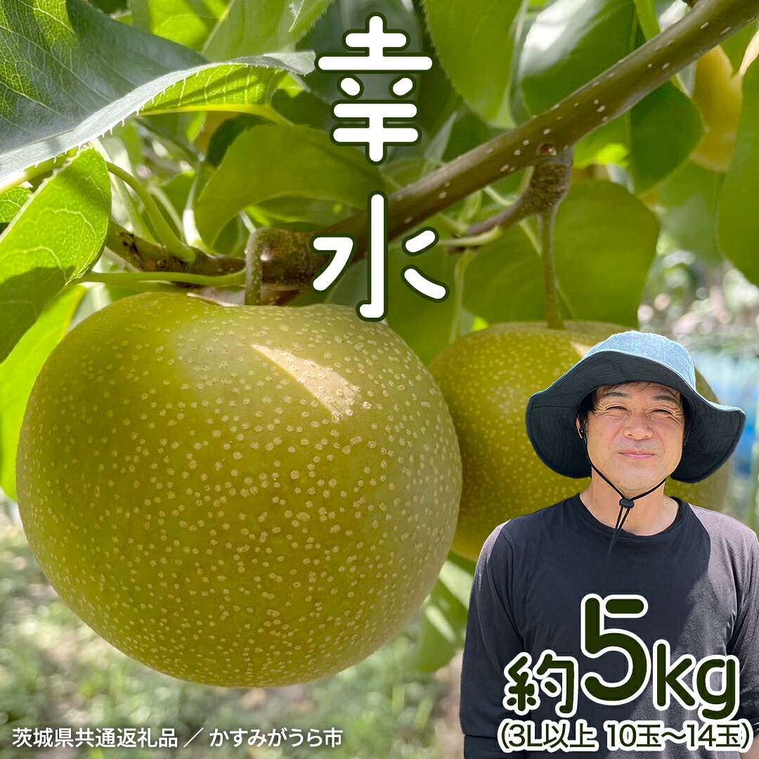 【ふるさと納税】《先行予約》《2026年8月中旬から発送開始》 幸水 梨 約 5kg 10玉～14玉 【 茨城県共通返礼品 ／ かすみがうら市 】 なし 鈴木農園 産地直送 フルーツ 甘い 直送 茨城 限定