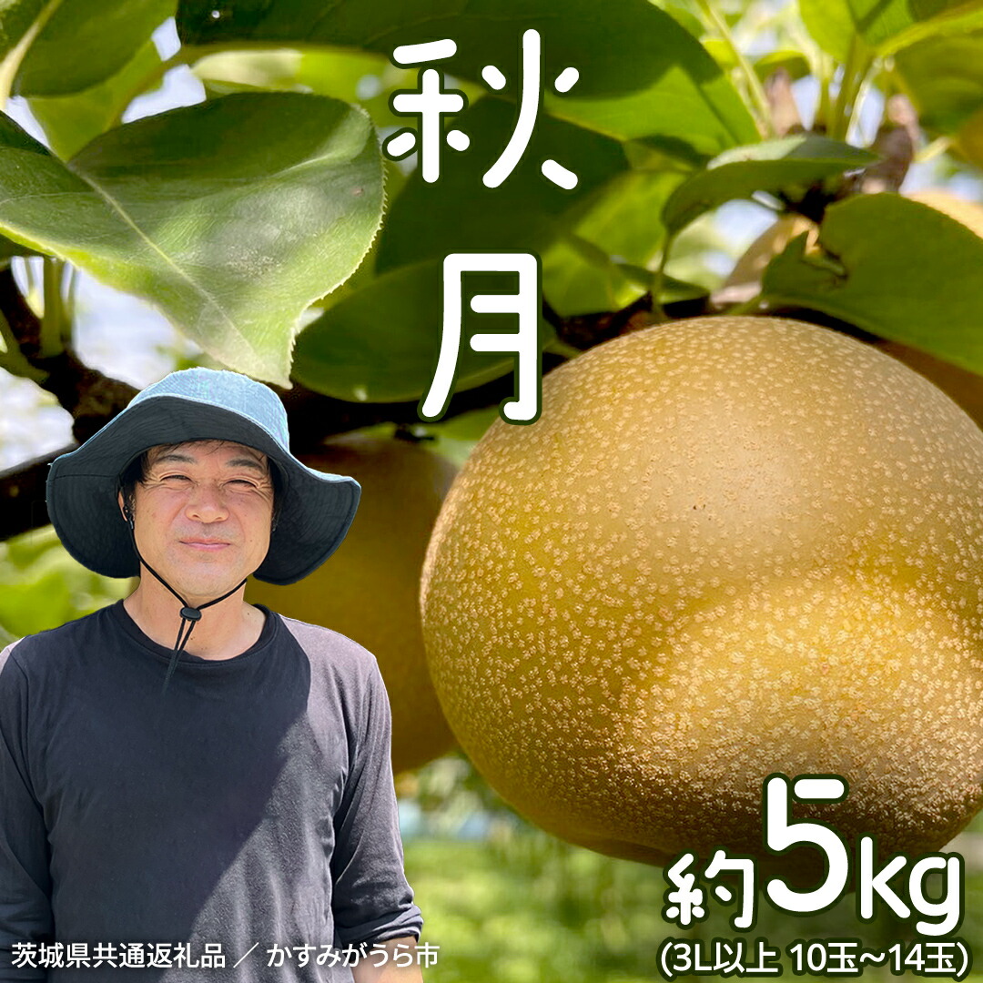 【ふるさと納税】 《2026年9月中旬発送開始》 秋月 梨 約 5kg 10玉～14玉 （ 茨城県共通返礼品 ／ かすみがうら市 ） なし 鈴木農園 産地直送 フルーツ 甘い 直送 茨城 限定