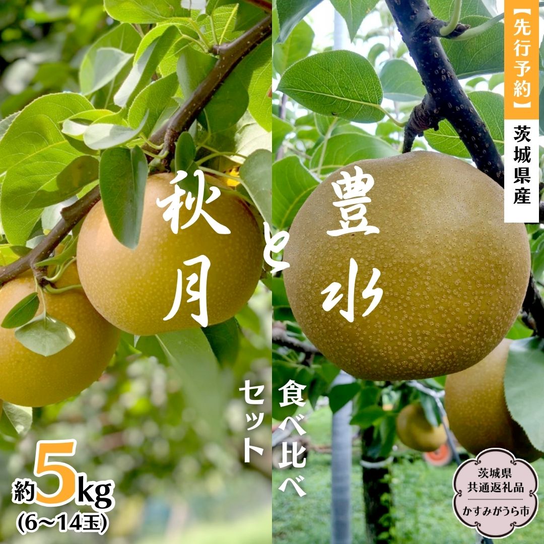【ふるさと納税】 【 先行予約 】 茨城県産 梨 豊水 と 秋月 の 食べ比べ セット 約5kg 6玉～14玉 ( 茨城県共通返礼品 かすみがうら市 )  (2025年9月上旬発送開始) 産地直送 久保田果樹園 フルーツ 甘い 直送 茨城 限定 ギフト 梨 秋月 あきづき 豊水 ほうすい 果物