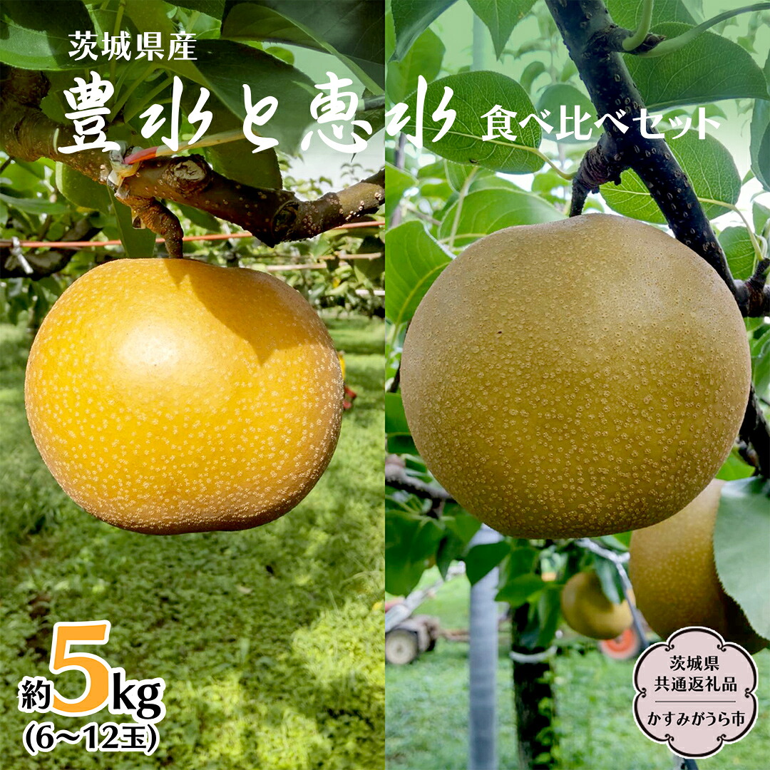 【ふるさと納税】 【先行予約】梨 豊水と恵水の食べ比べセット 約5kg (茨城県共通返礼品 かすみがうら市) （2026年9月中旬発送開始）産地直送 久保田果樹園 フルーツ 甘い 直送 茨城 限定 ギフト 梨 豊水 ほうすい 恵水 けいすい 食べ比べ 果物