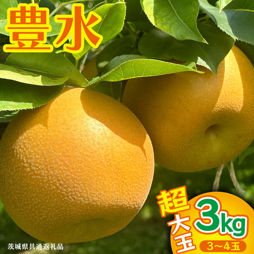 【ふるさと納税】豊水 超大玉 約 3kg 3～4玉 (茨城県共通返礼品:かすみがうら市) 2026年 マスカット ぶどう 葡萄 ブドウ フルーツ 果物 くだもの 旬 食べ比べ セット 詰め合わせ 国産 産地直送 ギフト 贈答 プレゼント 手土産 お土産