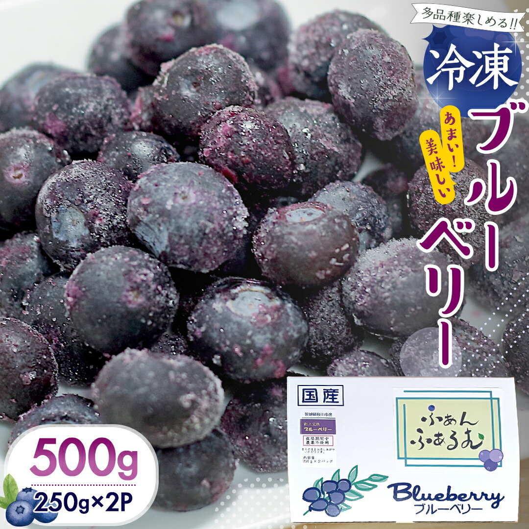 【ふるさと納税】 《2025年7月中旬から発送開始》  茨城県産 冷凍 ブルーベリー 合計 500g (250g×2袋) 多品種 果実 果物 くだもの フルーツ おやつ ブルーベリー ベリー ジャム 小分け