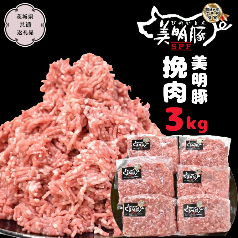 【ふるさと納税】美明豚 挽肉 3kg【茨城県共通返礼品 行方市】 豚肉 国産 銘柄 グルメ 茨城県 料理