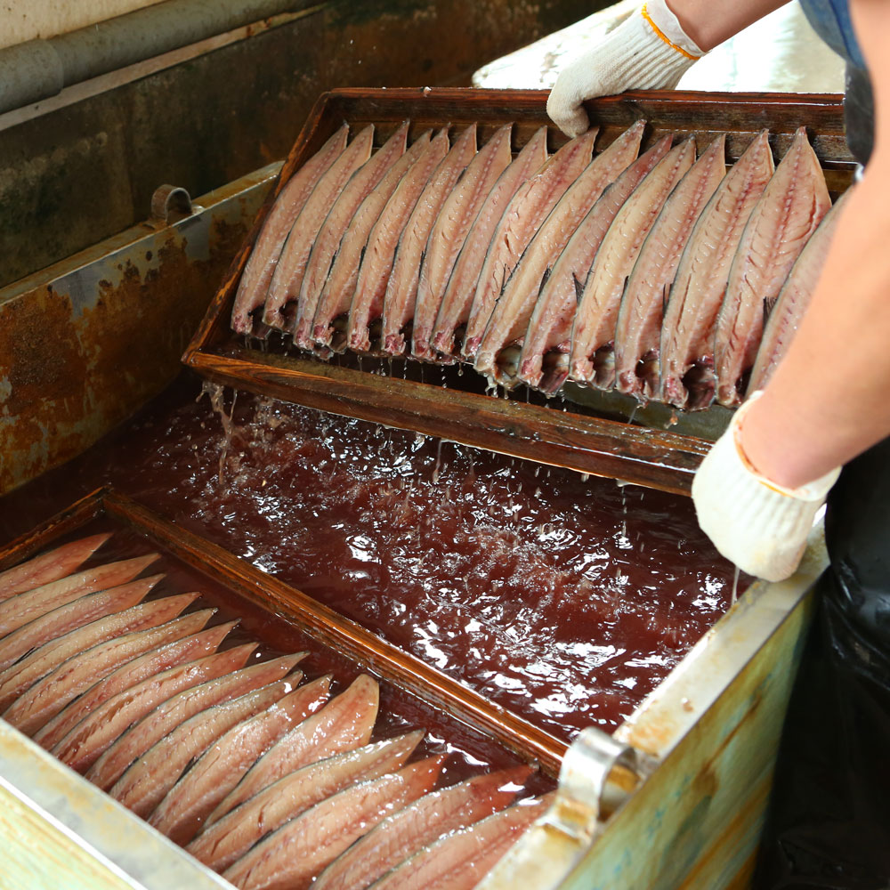 全品最安値に挑戦 6カ月 定期便 越田の干物 さば 8枚 セット 鯖 サバ 文化干し 塩 干物 3か月 国産 神栖市 茨城県 送料無料 Fucoa Cl