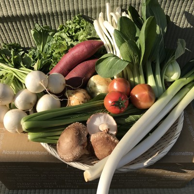 【ふるさと納税】自然栽培の野菜詰め合わせ 10~12品目 自然栽培 野菜 旬 セット 詰め合わせ 神栖市 茨城県 送料無料