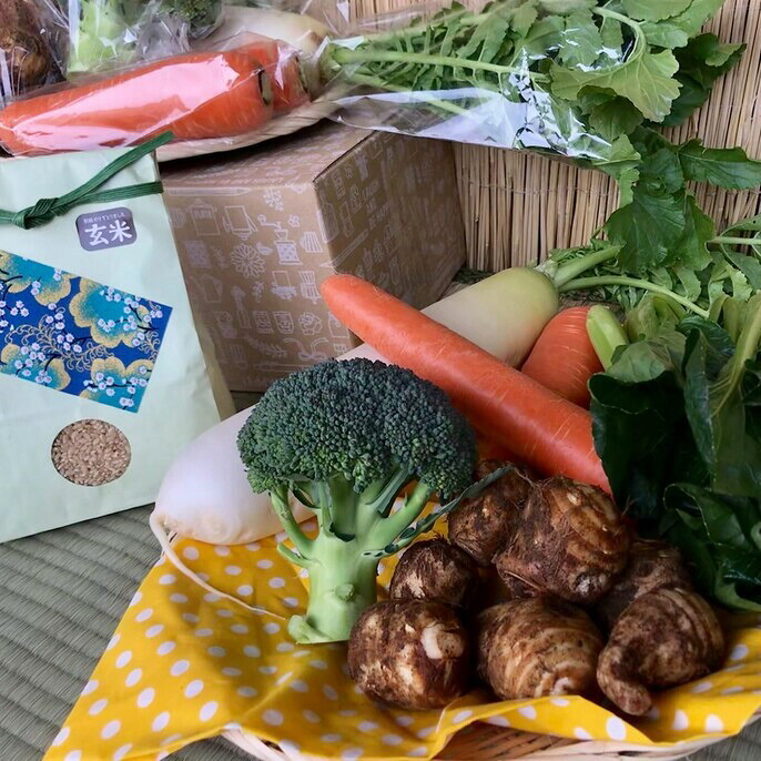 【ふるさと納税】＜栽培期間農薬不使用＞ 玄米2kgと季節の野菜（4～5品）のセット 4～5品 自然栽培 野菜 旬 セット 詰め合わせ 神栖市 茨城県 送料無料 【2025年9月より順次発送開始】