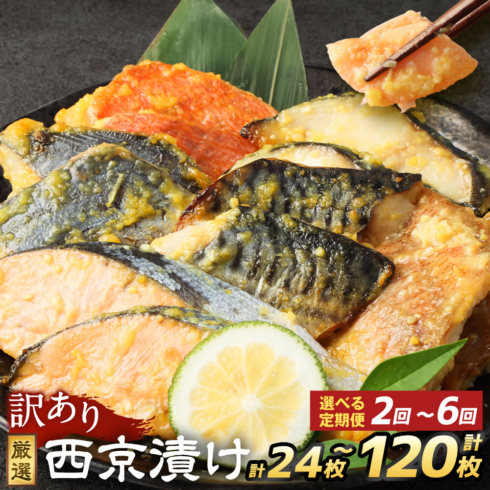 魚介類・水産加工品 【ふるさと納税】〈選べる定期便・内容量〉訳あり