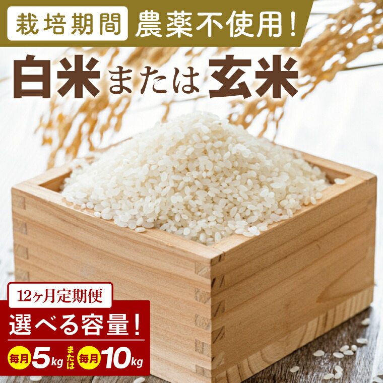 【ふるさと納税】【2026年9月中旬発送開始】【12ヶ月定期便】【選べる内容量】★栽培期間農薬不使用★茨城県産 R８年産 こしひかり(白米または玄米)｜茨城県 行方市 ふるさと納税 お米 米 定期便 こしひかり 白米 精米 無農薬（BI-103）