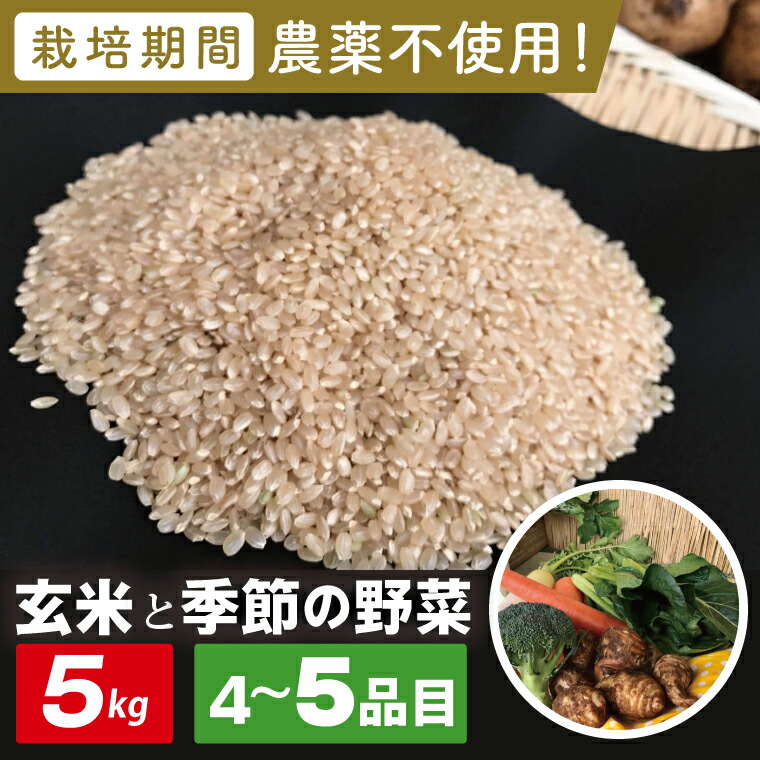 【ふるさと納税】【身体が喜ぶ野菜】玄米5kgと季節の野菜(おまかせ4～5品)(茨城県共通返礼品／潮来市)｜米 お米 こめ 玄米 野菜 野菜セット 栽培期間農薬不使用 無農薬 減農薬 茨城県共通返礼品 共通返礼品 茨城県 潮来市 行方市(BI-108)｜茨城県行方市