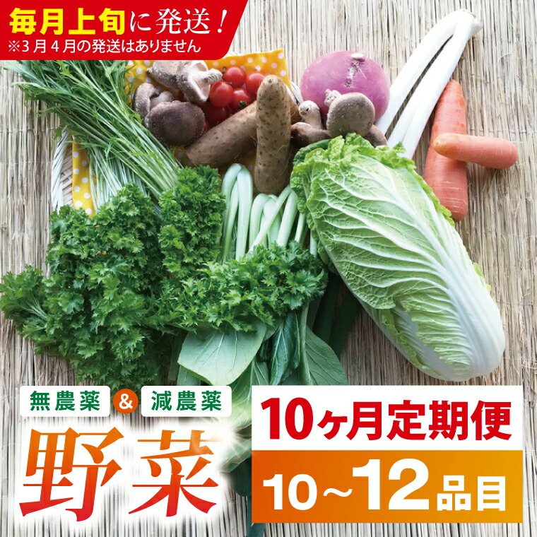 【ふるさと納税】【10ヶ月定期便】★毎月上旬発送★身体が喜ぶ季節の野菜 10～12品目｜野菜 やさい 野菜セット セット 詰め合わせ おまかせ 定期便 野菜定期便 茨城県 行方市(BI-110)