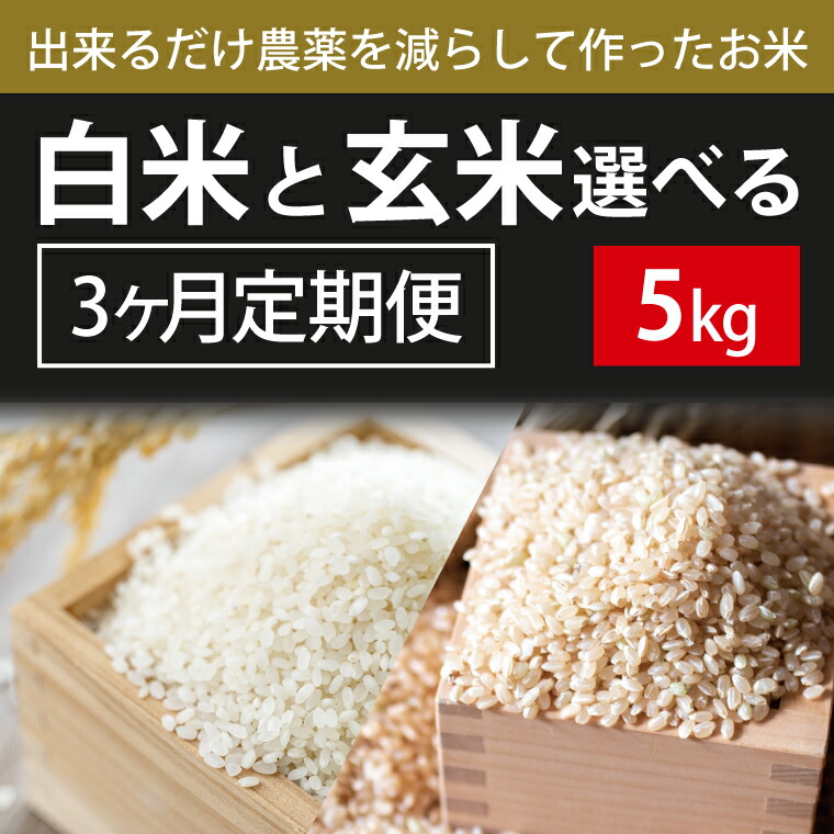 【ふるさと納税】【2026年10月より順次発送】3ヶ月定期便【できるだけ農薬を減らして作ったお米】こしひかり 5kg×3回(白米または玄米)(BI-76)|茨城県行方市
