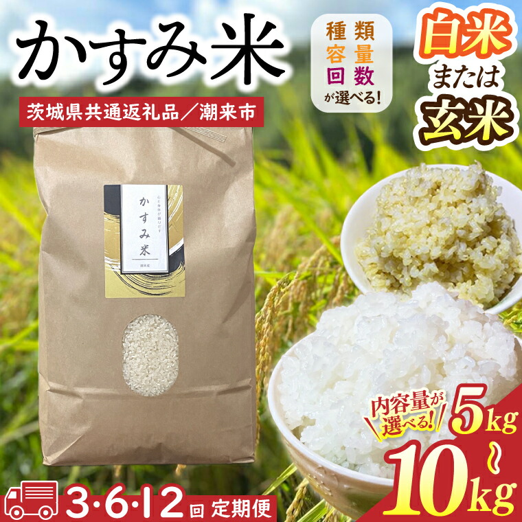 【ふるさと納税】【2026年9月末より順次発送開始】【茨城県共通返礼品/潮来市】【選べる内容量】【12か月定期便】栽培期間中出来るだけ農薬を減らしたかすみ米 5kg or 10kg 白米 or 玄米 (BI-90)|茨城県行方市