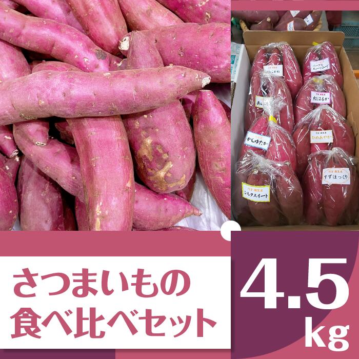 【ふるさと納税】【2024年11月より順次発送】2024年度産 いろんなさつまいも食べ比べセット 約4.5kg(5～8品種)(BZ-18)