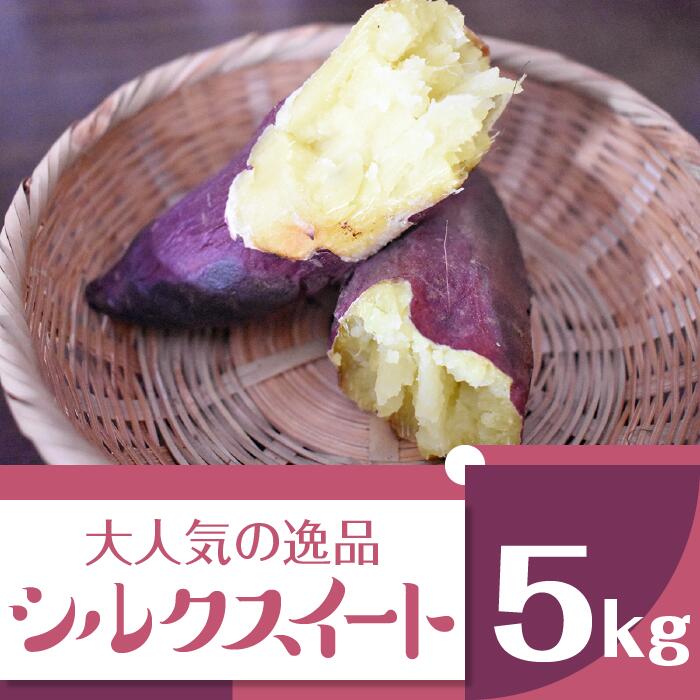 【ふるさと納税】2024年度産 まるで絹のようななめらかなさつまいも　シルクスイート 約5kg(BZ-19)