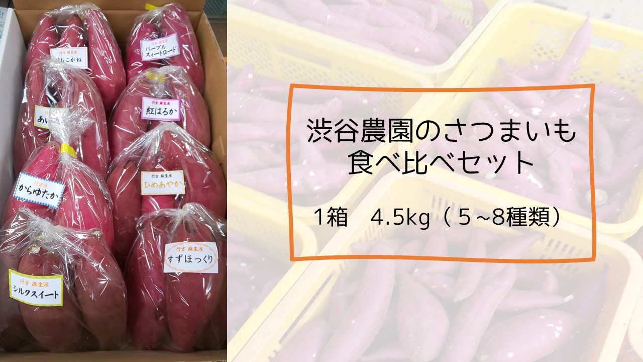 楽天市場 ふるさと納税 いろんなさつまいも食べ比べセット 4 5kg 5 8品種 茨城県行方市