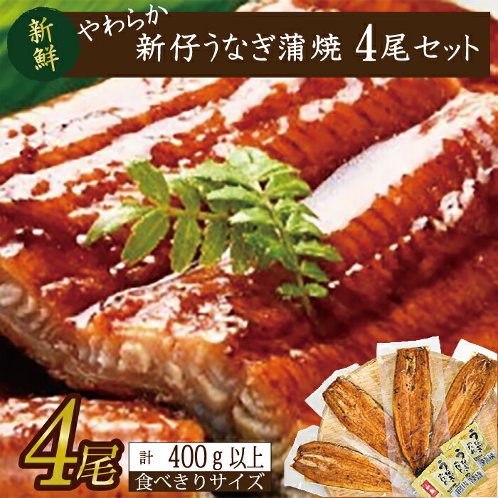 【ふるさと納税】やわらか新仔うなぎ食べ切りサイズ100～120g　4尾　計400ｇ以上(AD-104-1)