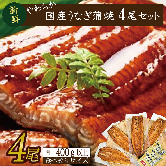 ふるさと納税 国産 鰻 うなぎ 蒲焼 140~160g 2尾 冷蔵 魚 かば焼き 父の日 丑の日 うな重 うな丼 ひつまぶし （ 鰻 うなぎ 鰻蒲焼 うなぎ蒲焼 鰻.. 静岡県沼津市 ふるさと納税 鰻 うなぎ 蒲焼 140~160g 2尾 国産 冷蔵 魚 かば焼き