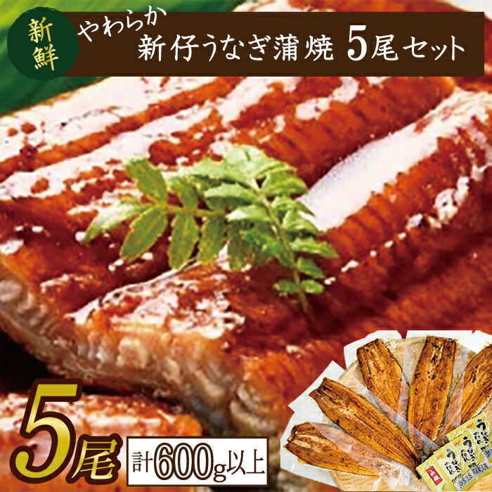 【ふるさと納税】やわらか新仔うなぎ蒲焼120～140ｇ　5尾　計600ｇ以上(AD-82-1)
