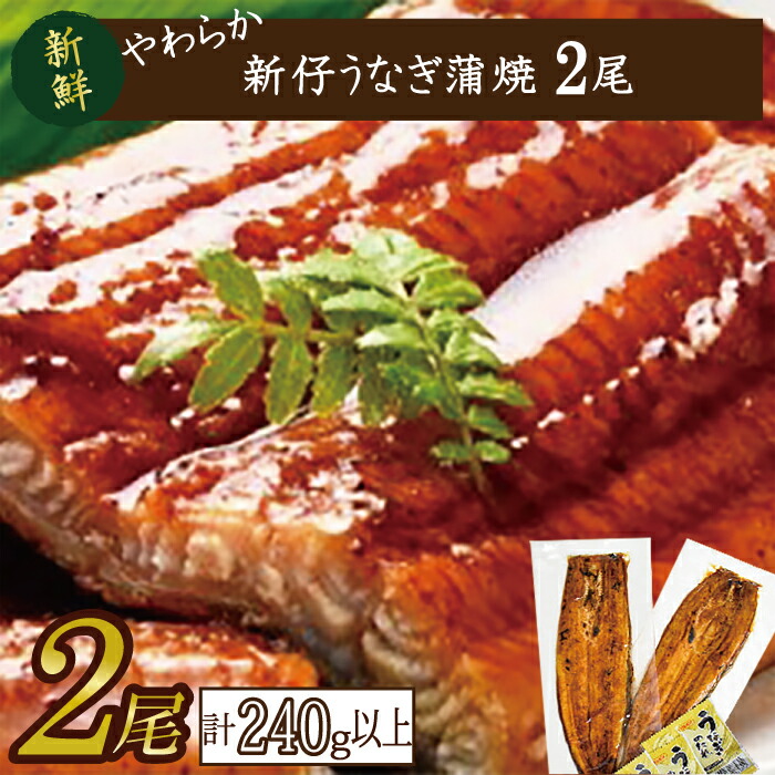 【ふるさと納税】やわらか新仔うなぎ蒲焼120～140ｇ　2尾　計240ｇ以上(AD-85-1)
