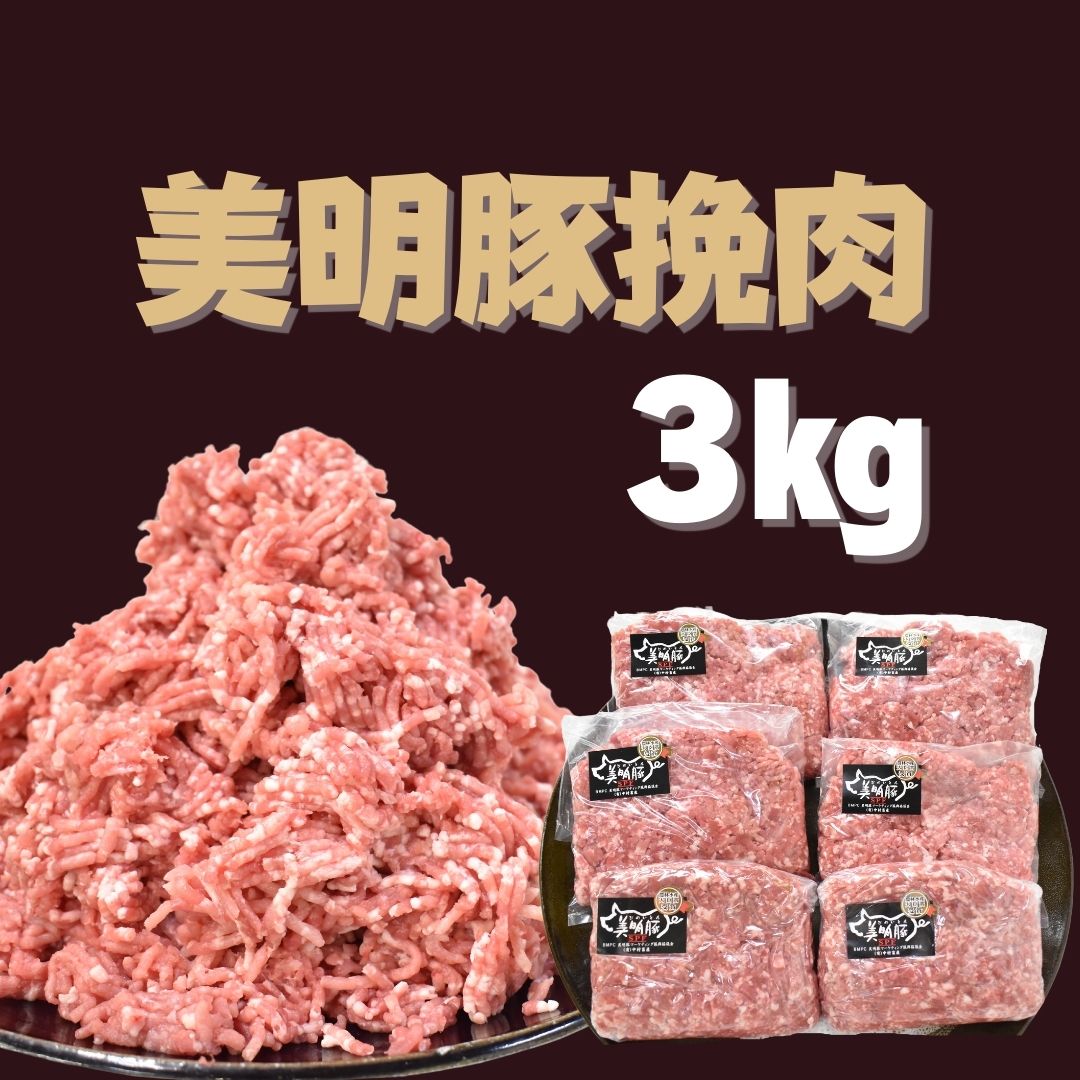 【ふるさと納税】 美明豚 挽肉 500g×6パック ｜DH-4-1