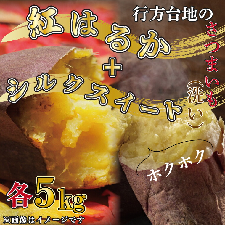 無選別 行方台地のさつまいも 紅はるか5kg 2月発送 洗い シルクスイート5kg 無選別 行方台地のさつまいも 紅はるか5kg 2月発送 洗い シルクスイート5kg