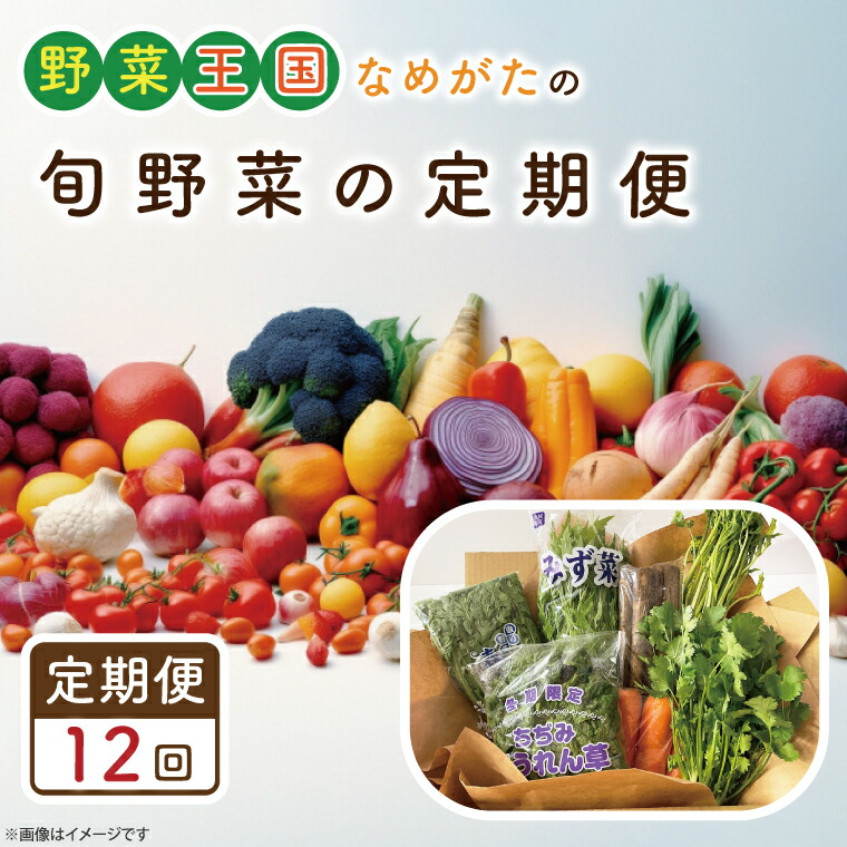 【ふるさと納税】【12ヶ月定期便】野菜王国なめがたの旬野菜の定期便｜CU-130