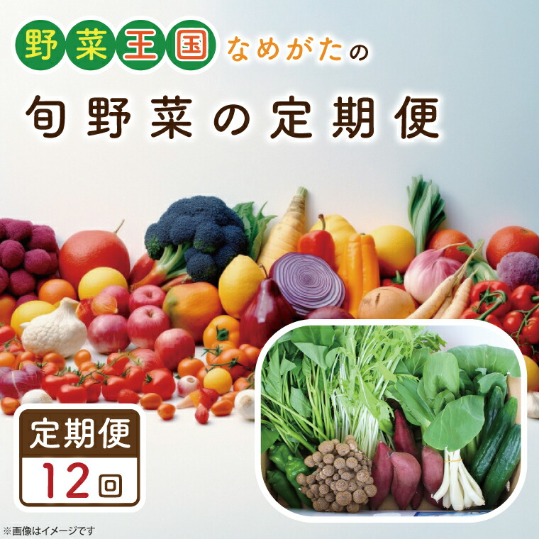 【ふるさと納税】【12ヶ月定期便】野菜王国なめがたの旬野菜の定期便（さつまいも入り）CU-134