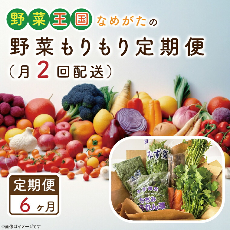 【ふるさと納税】【6ヶ月定期便】野菜王国なめがたの野菜もりもり定期便（月２回発送）｜CU-141｜茨城県行方市