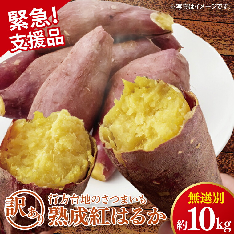 【ふるさと納税】【緊急支援品】★訳あり★ 無選別 行方台地のさつまいも 熟成紅はるか 約10kg（洗い）｜さつまいも 芋 サツマイモ 紅はるか 数量限定 訳あり わけあり 無選別 熟成 茨城県 行方市(CU-326-1)