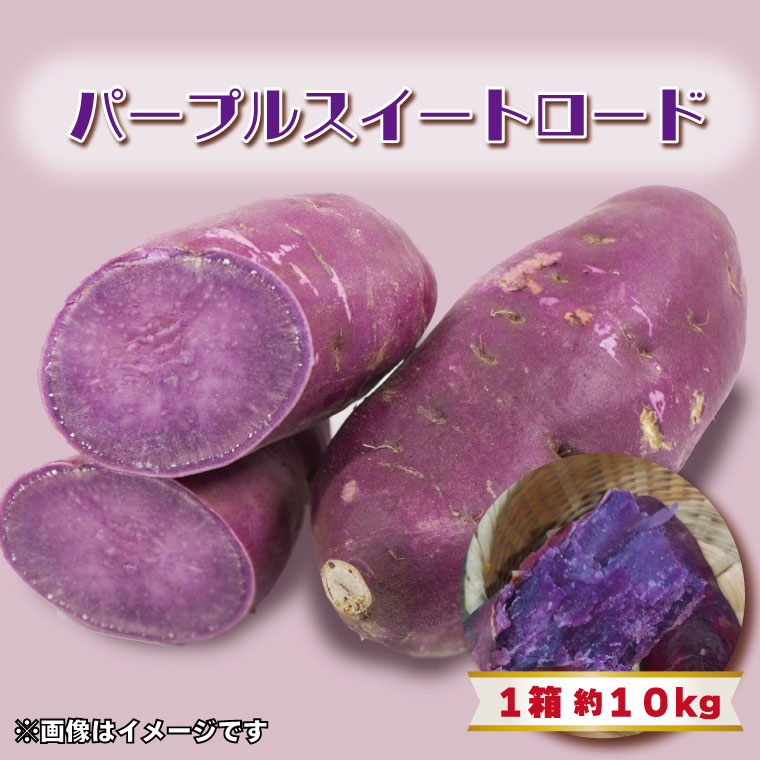 【ふるさと納税】2024年度産 パープルスイートロード　約10kg(BZ-8)