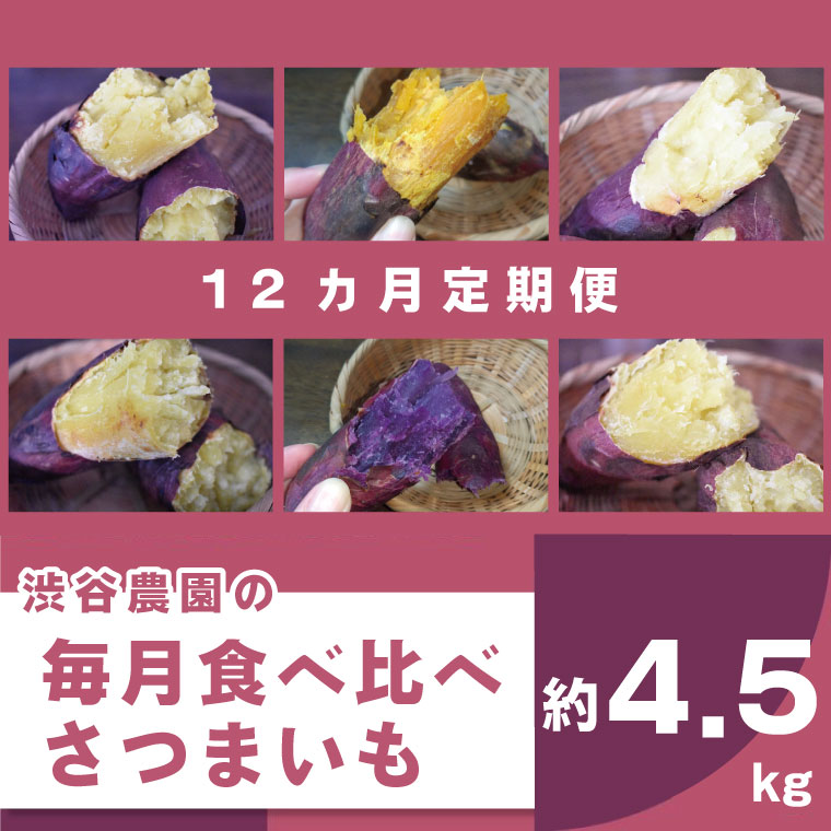 【ふるさと納税】【12ヶ月定期便】渋谷農園の毎月食べ比べさつまいも 約4.5kg(BZ-21)