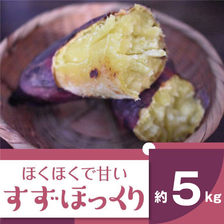 【ふるさと納税】【先行予約】【2024年11月より順次発送】2024年度産 ホクホクで甘いさつまいも　『すずほっくり』約5kg(BZ-13)