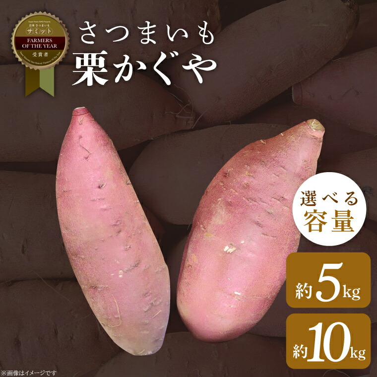 【ふるさと納税】【選べる容量】さつまいも 栗かぐや 約5kgor約10kg｜茨城県 行方市 ふるさと納税 芋 いも さつまいも サツマイモ さつま芋 お芋 おいも 栗かぐや 渋谷農園 さつまいも博(BZ-50)
