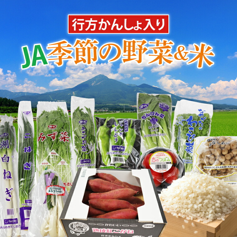 【ふるさと納税】【『行方かんしょ』入り】JA　季節の野菜＆米 約5kg(AE-4-1)