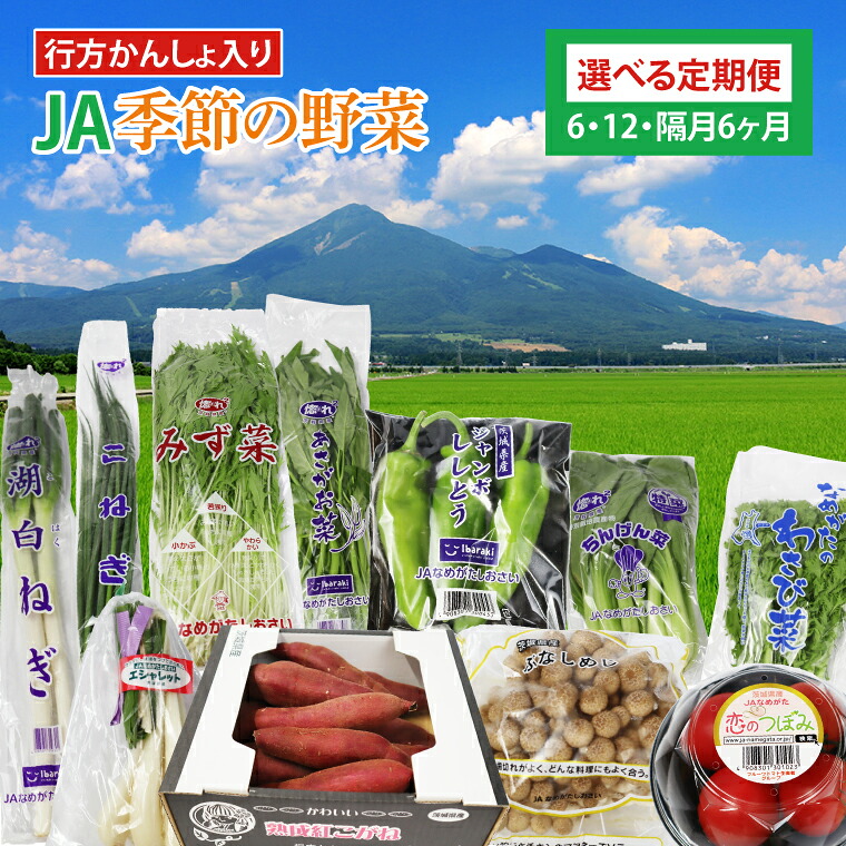 【ふるさと納税】【選べる定期便】『行方かんしょ』入り JAなめがたしおさい 季節の野菜セット（AE-23）｜茨城県行方市
