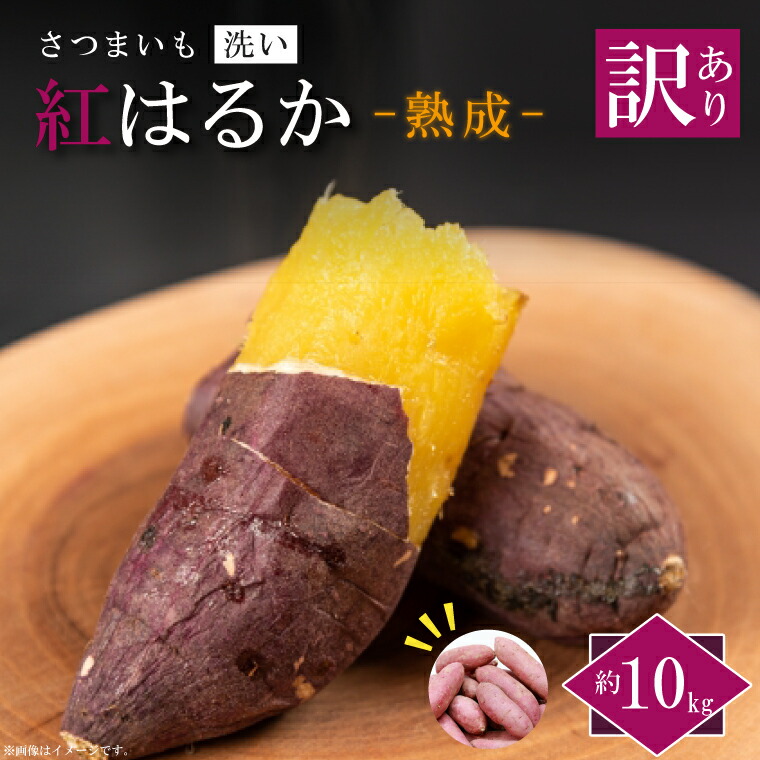【ふるさと納税】★訳あり★【2026年1月より順次発送】【訳あり】農産物直売所「やさいの声」熟成紅はるか　洗い　約10kg|さつまいも サツマイモ 紅はるか 熟成 洗い 行方市 ふるさと納税(EK-13)