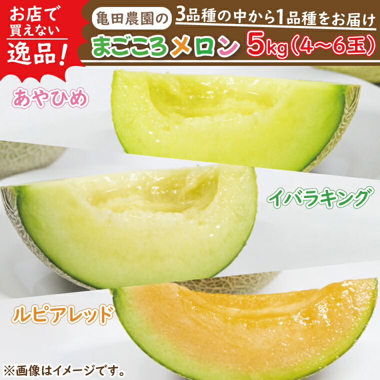 【ふるさと納税】【2025年5月中旬より順次発送】★数量限定★お店で買えない逸品！亀田農園のまごころメロン5kg(4～6玉)｜果物 くだもの メロン ルピアレッド イバラキング あやひめ 数量限定 茨城県 行方市（B-1-1）