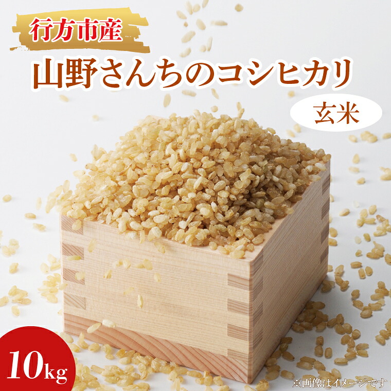 【ふるさと納税】★令和7年度産★山野さんちのコシヒカリ 10kg(玄米)｜米 お米 こめ こしひかり コシヒカリ 令和7年産 R7年産 新米 玄米 茨城県 行方市(BR-5-1)｜茨城県行方市