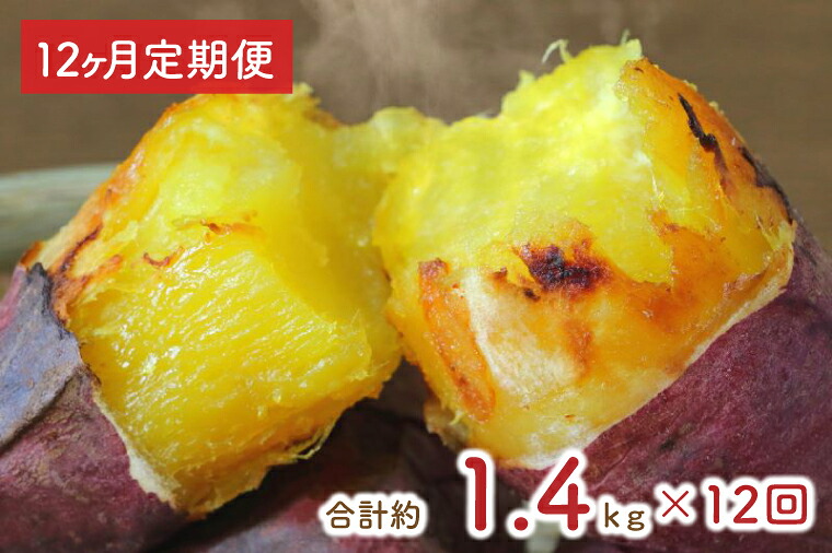 【ふるさと納税】【12ヶ月定期便】★訳あり★紅はるか冷凍焼き芋約1.2kg＋おまかせ品種さつまいも　合計約1.4kg（EY-34）｜茨城県行方市