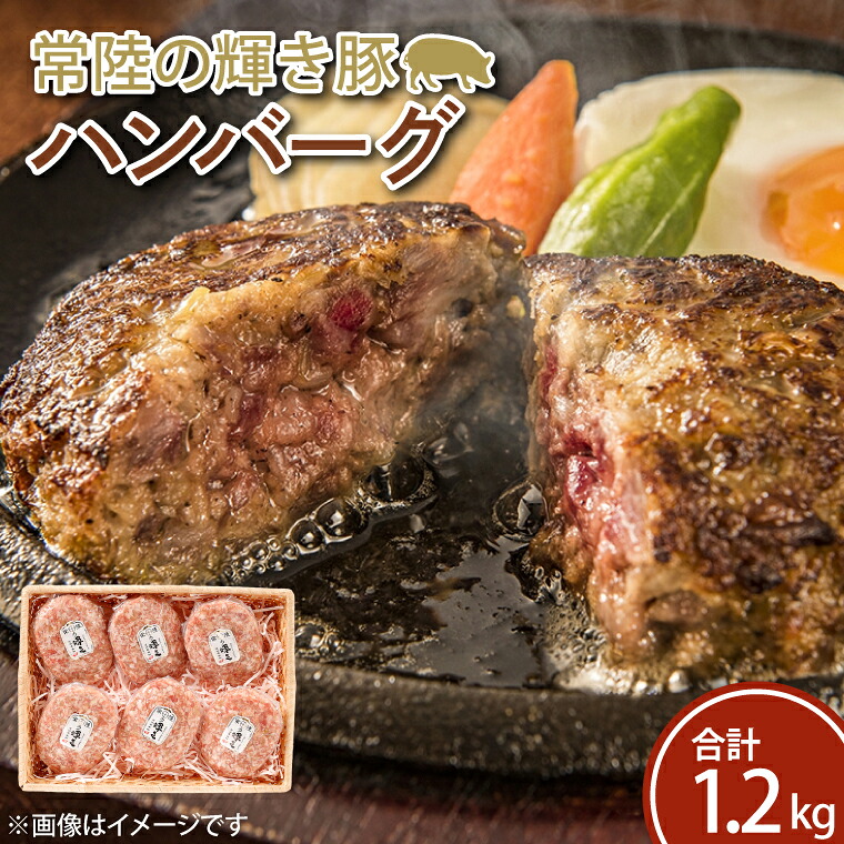 【ふるさと納税】常陸の輝き豚ハンバーグ　約200ｇ&times;6パック(FQ-1)｜茨城県行方市