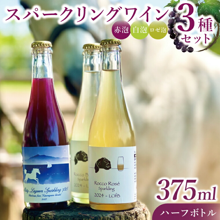 【ふるさと納税】スパークリングワイン「泡3種セット」｜ワイン スパークリングワイン ボトルワイン 酒 お酒 酒類 ボトル ぶどう ブルーベリー ロゼ セット ワインセット 茨城県 行方市(GQ-6)