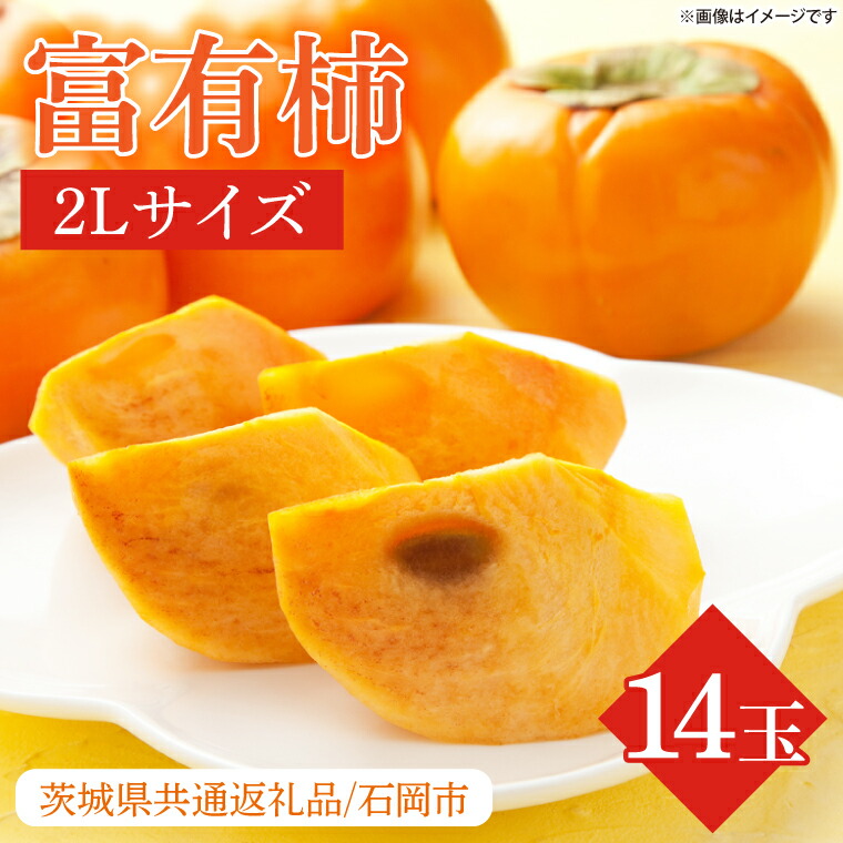 【ふるさと納税】【2025年11月より順次発送】★数量限定★富有柿 2L 14玉【茨城県共通返礼品/石岡市】｜柿 かき カキ フルーツ 果物 くだもの 富有柿 ジューシー 数量限定 行方市 石岡市 茨城県(HL-3)
