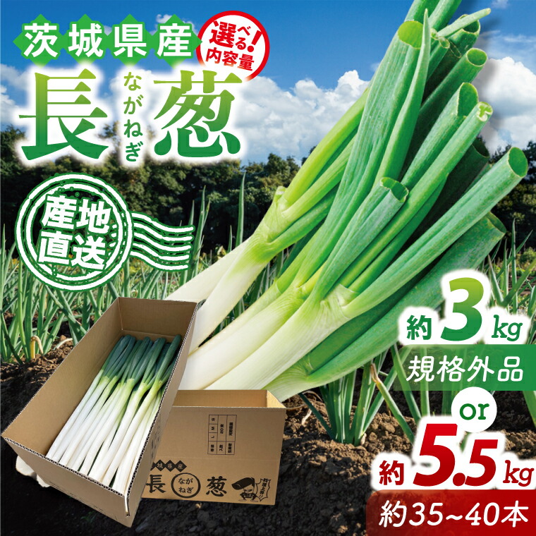 楽天市場】【ふるさと納税】【南信州産】土付きねぎ 3kg(600g×5袋
