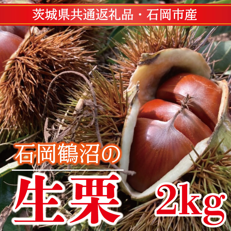 【ふるさと納税】【先行予約】【2025年9月より順次発送】石岡鶴沼の生栗  2kg（茨城県共通返礼品・石岡市産）(ER-2-1)