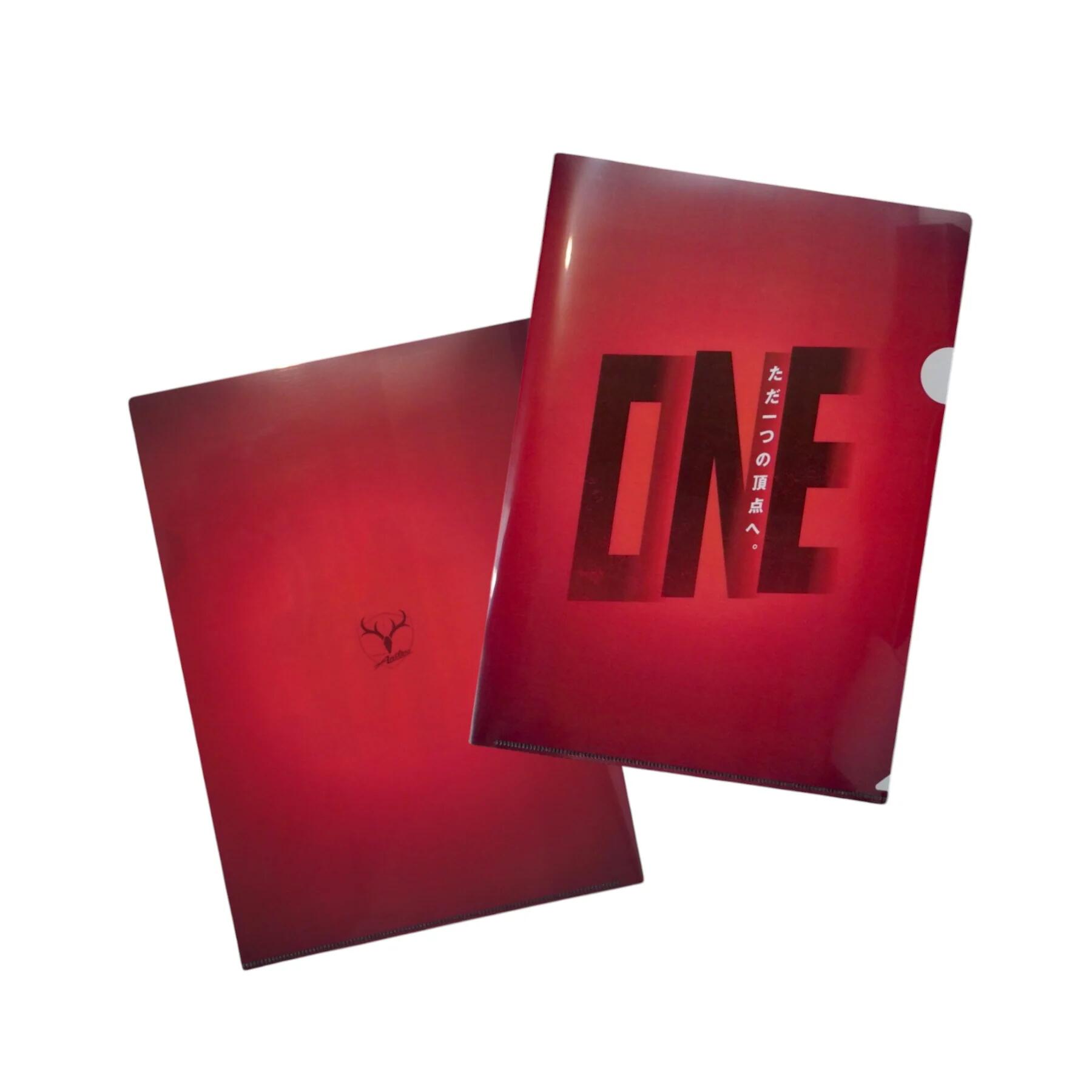 DVD FOOTBALL DREAM 鹿島アントラーズの栄光と苦悩